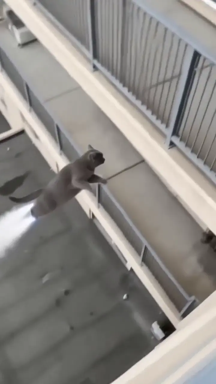 A grey cat hops off a high balcony, jets fire under it and it flies back up and walks in through the open door.